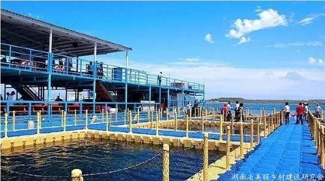 中国国际海洋牧场博览会助力打造“蓝色粮仓”