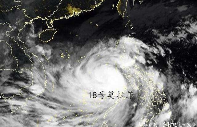 农业农村部紧急部署第18号台风“莫拉菲”防御工作