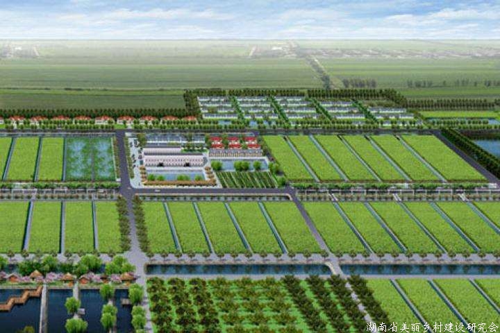 甘肃力争5年打造10个百亿元级现代农业产业园