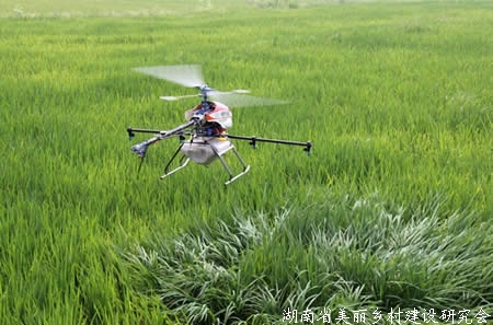 中韩水稻迁飞性害虫与病毒病监测合作项目2020年度总结视频会召开