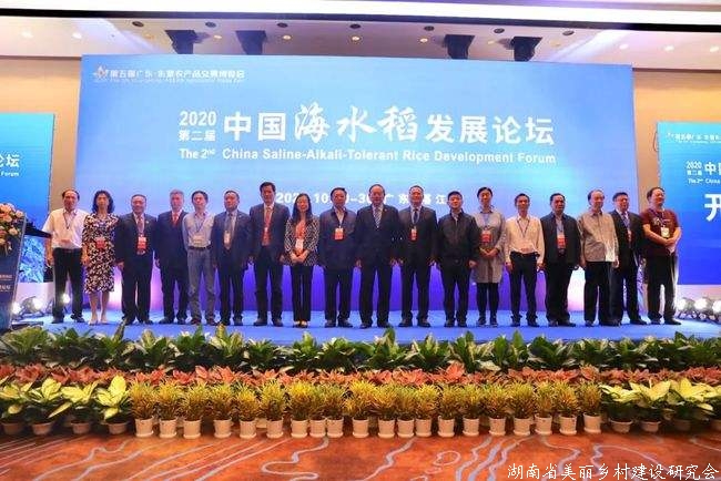 第二届中国海水稻发展论坛在广东湛江举行