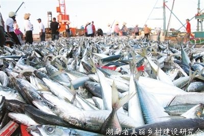 远洋渔业发展35周年专题座谈会在京召开