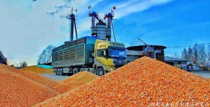 实现“十七连丰”！2020年黑龙江省粮食生产再夺丰收