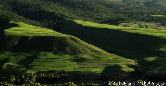青海：林草带动200万人次农牧民家门口务工增收