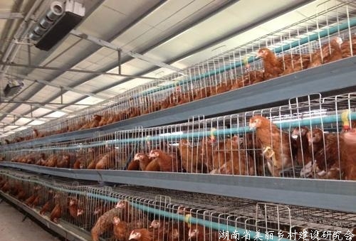 农业农村部推介20个畜禽养殖机械化典型案例