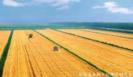 云南：努力为国家粮食安全做出贡献