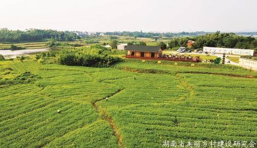 湖北省农产品出口152亿元创新高
