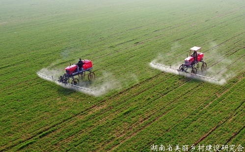 “农业芯片”卡脖子，中国种业酝酿怎样的变局？