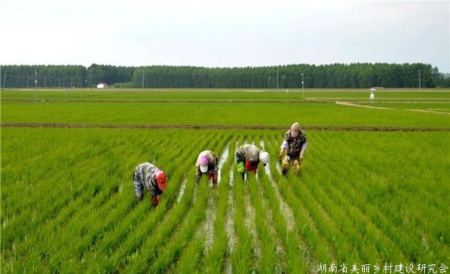 农垦局开展春季农业生产指导调研工作