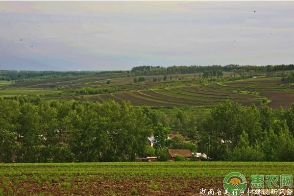 农村土地确权与不确权区别巨大，跟钱有很大关系！