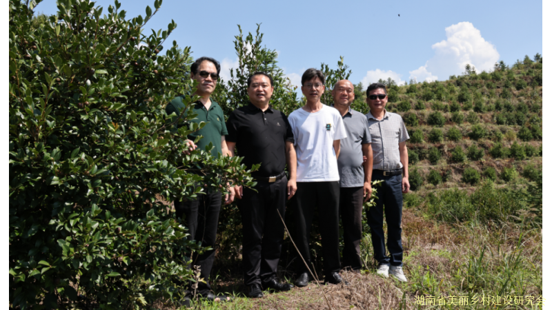 省美丽乡村建设研究会赴隆回宝诚农业交流学习 