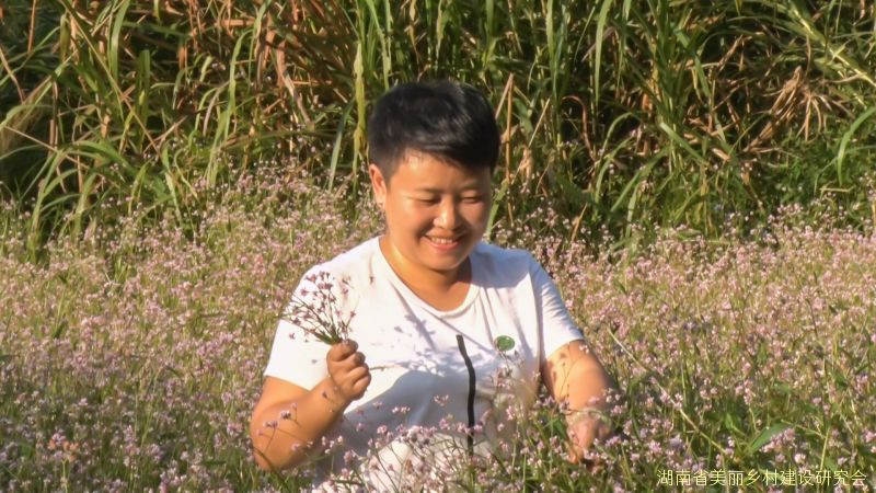 美丽乡村——浏阳桃源村