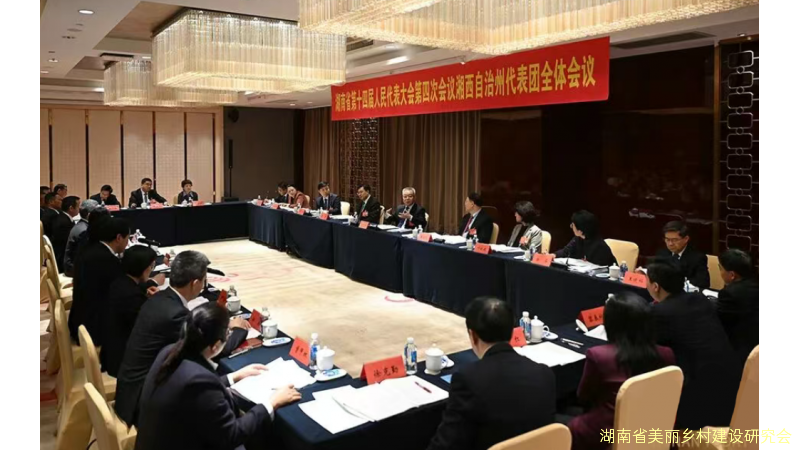 【湘声】沈晓明参加湘西州代表团审议