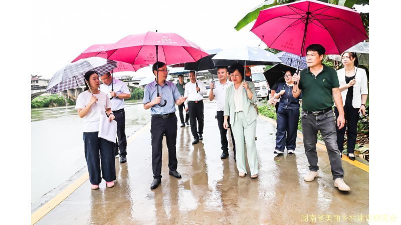 和美乡村片区化建设专题调研——研究会首站走进郴州
