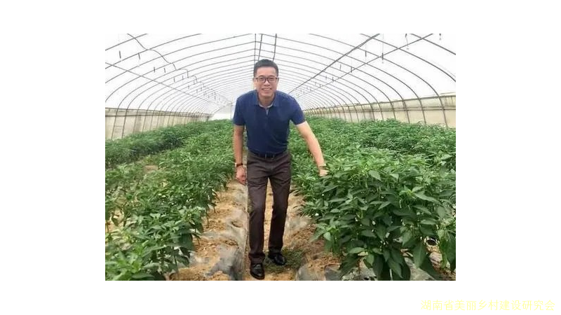 乡村振兴的践行者——记湘都生态农业发展有限公司董事长刘跃华